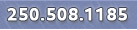 RainCoast Systems - (250) 508-1185